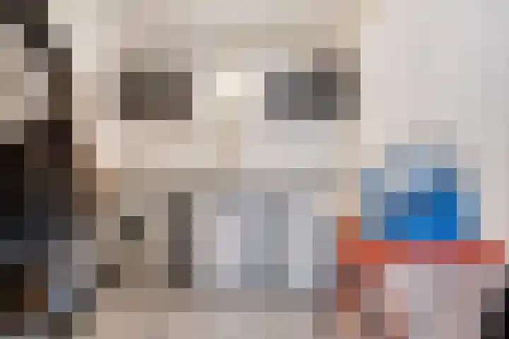 Fransebaan 557 Eindhoven thumbnail 7