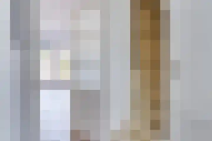 Fransebaan 563 Eindhoven thumbnail 11