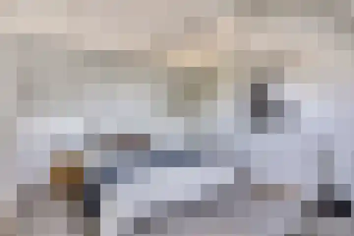 Fransebaan 563 Eindhoven thumbnail 27