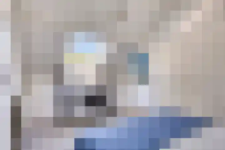 Fransebaan 563 Eindhoven thumbnail 28