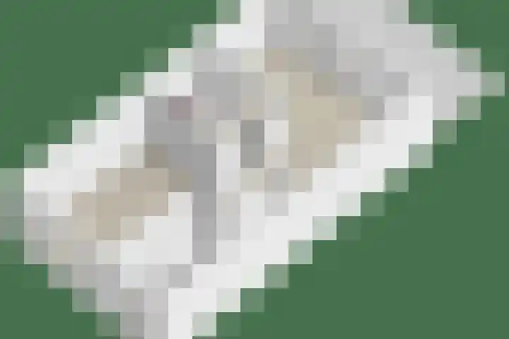 Fransebaan 563 Eindhoven thumbnail 38