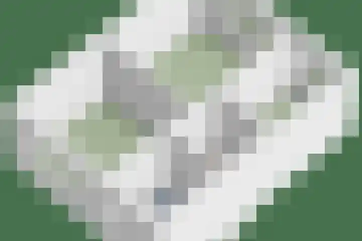 Fransebaan 563 Eindhoven thumbnail 39