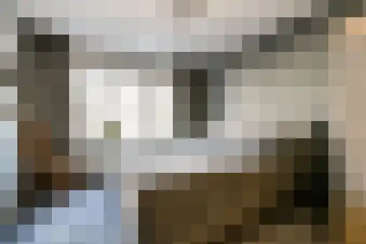 Fransenstraat 2 B Vlaardingen thumbnail 22