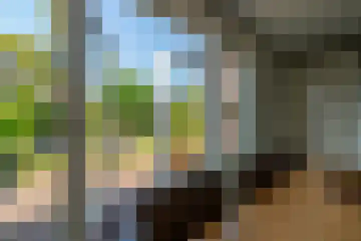 Fransetuinlaan 1 Vleuten thumbnail 22