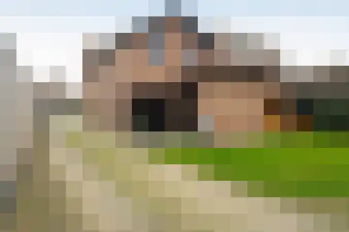 Franseweg 82 Elst Ut thumbnail 47