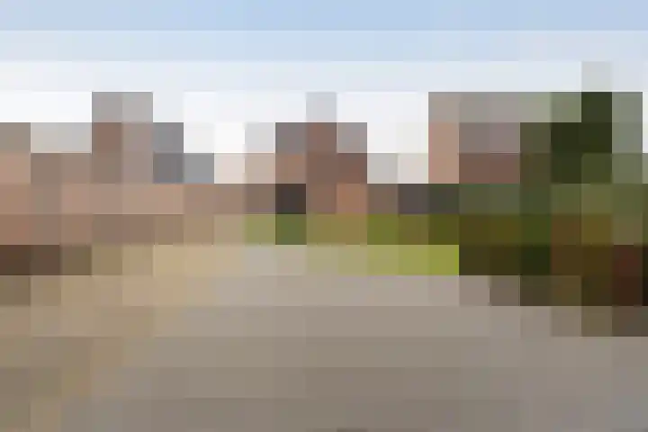 Franseweg 82 Elst Ut thumbnail 48