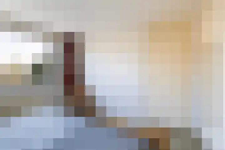 Frânskeleane 27 Bitgum thumbnail 24