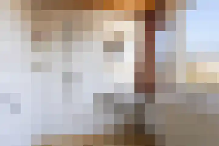 Frânskeleane 27 Bitgum thumbnail 27