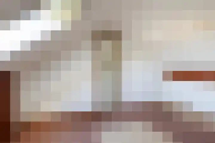 Frânskeleane 27 Bitgum thumbnail 32
