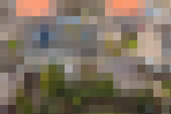 Frânskeleane 27 Bitgum thumbnail 34