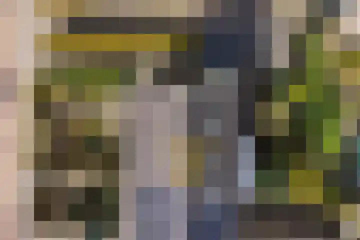 Frânskeleane 27 Bitgum thumbnail 35