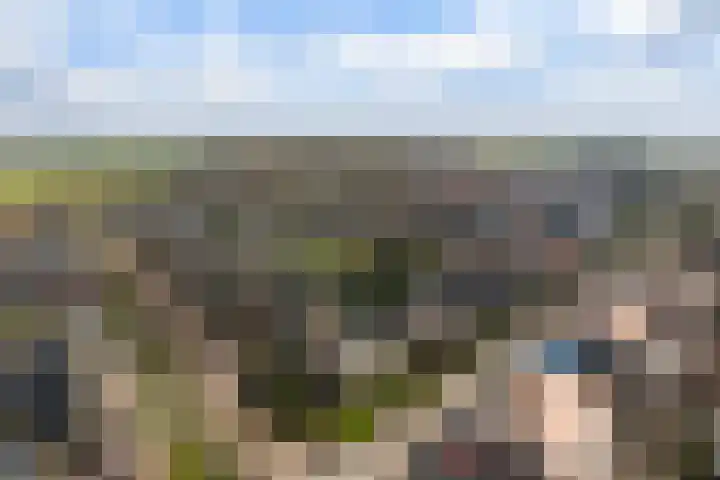 Frânskeleane 27 Bitgum thumbnail 37