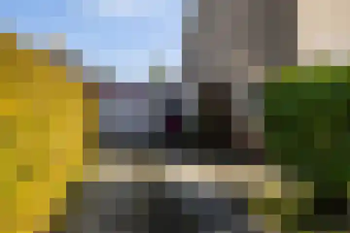 Frânskeleane 27 Bitgum thumbnail 6