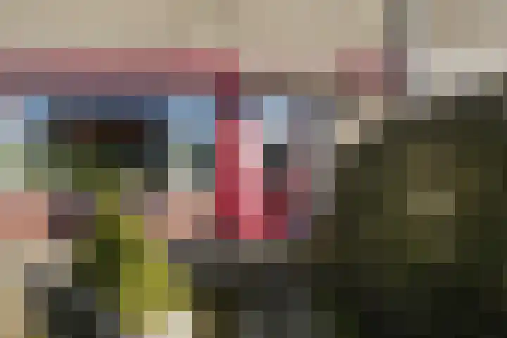 Frânskeleane 27 Bitgum thumbnail 7