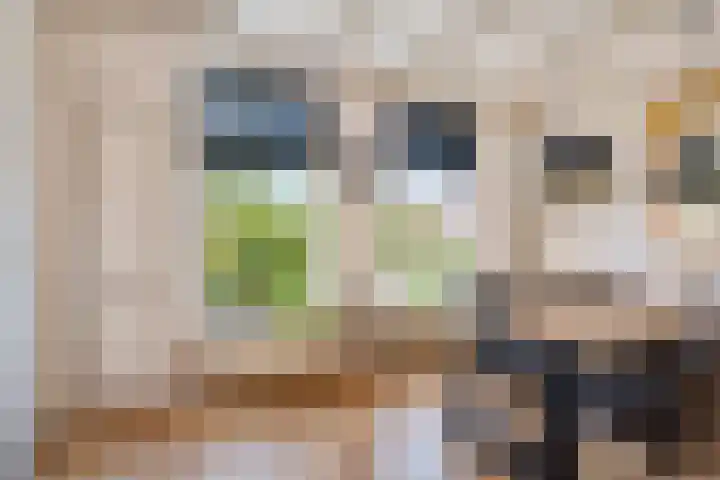 Frânskeleane 37 Bitgum thumbnail 12