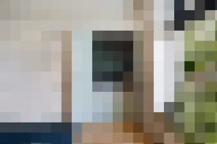 Frânskeleane 37 Bitgum thumbnail 17