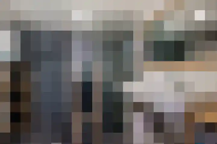 Frânskeleane 37 Bitgum thumbnail 18