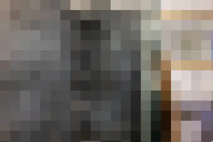 Frânskeleane 37 Bitgum thumbnail 19