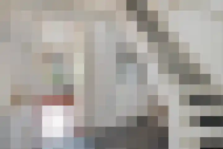 Frânskeleane 37 Bitgum thumbnail 21