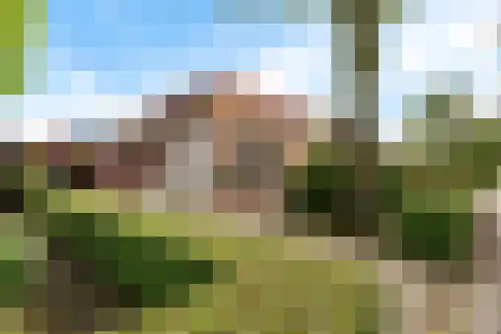 Frânskeleane 37 Bitgum thumbnail 22