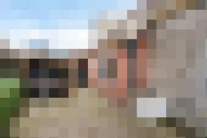 Frânskeleane 37 Bitgum thumbnail 32