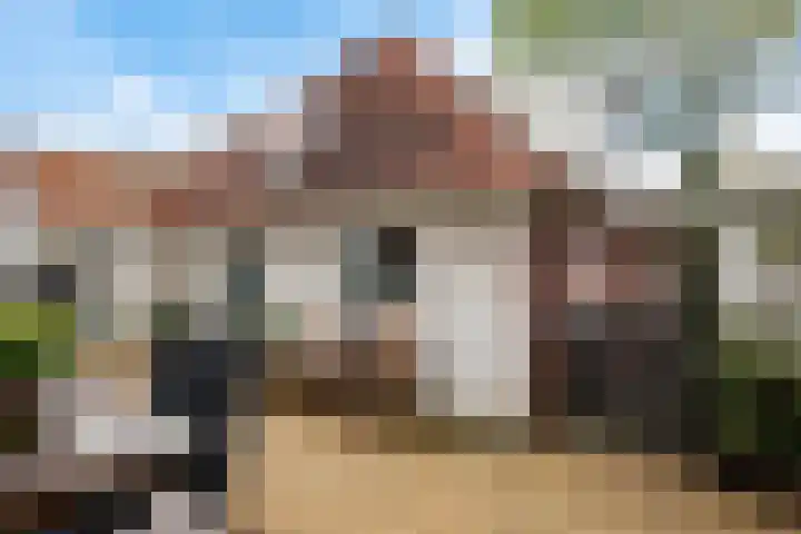 Frânskeleane 37 Bitgum thumbnail 33