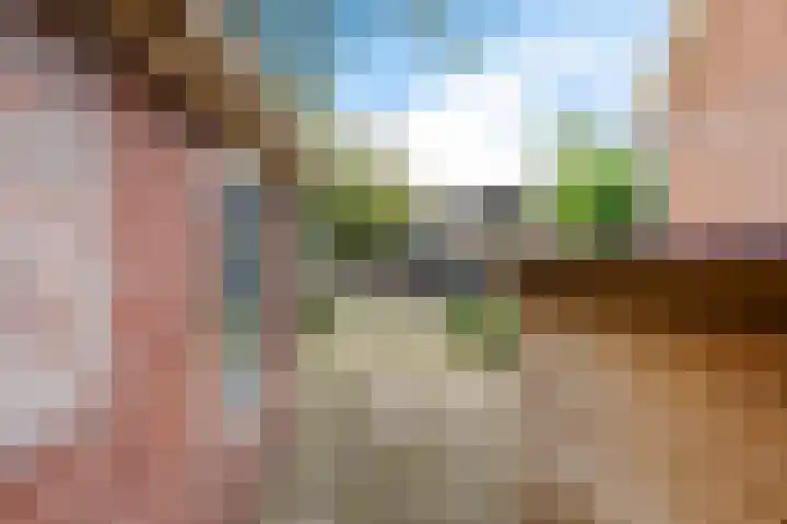 Frânskeleane 37 Bitgum thumbnail 34