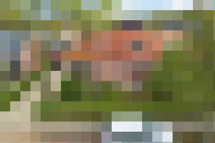 Frânskeleane 37 Bitgum thumbnail 42