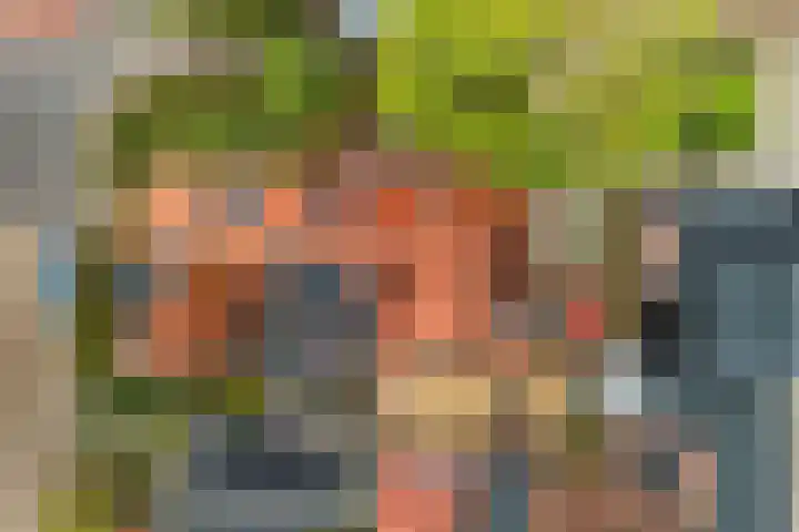 Frânskeleane 37 Bitgum thumbnail 43