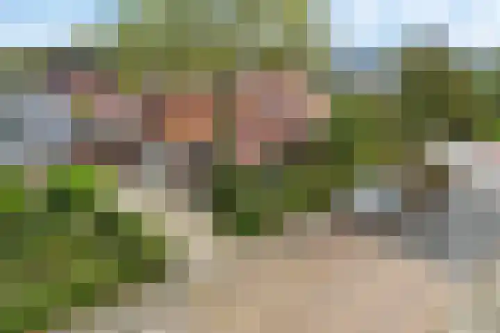 Frânskeleane 37 Bitgum thumbnail 44
