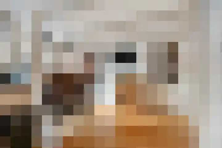 Frânskeleane 37 Bitgum thumbnail 8