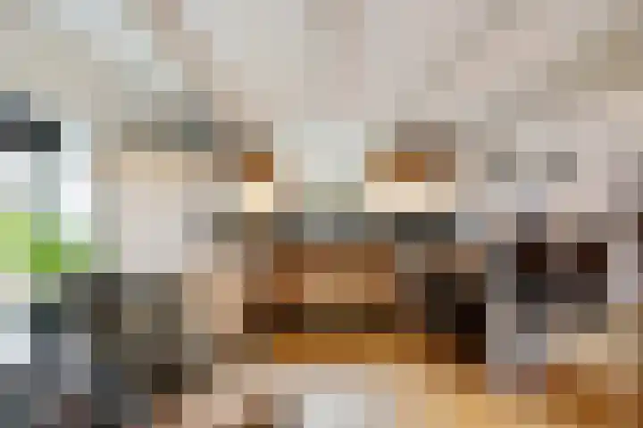 Frânskeleane 37 Bitgum thumbnail 9
