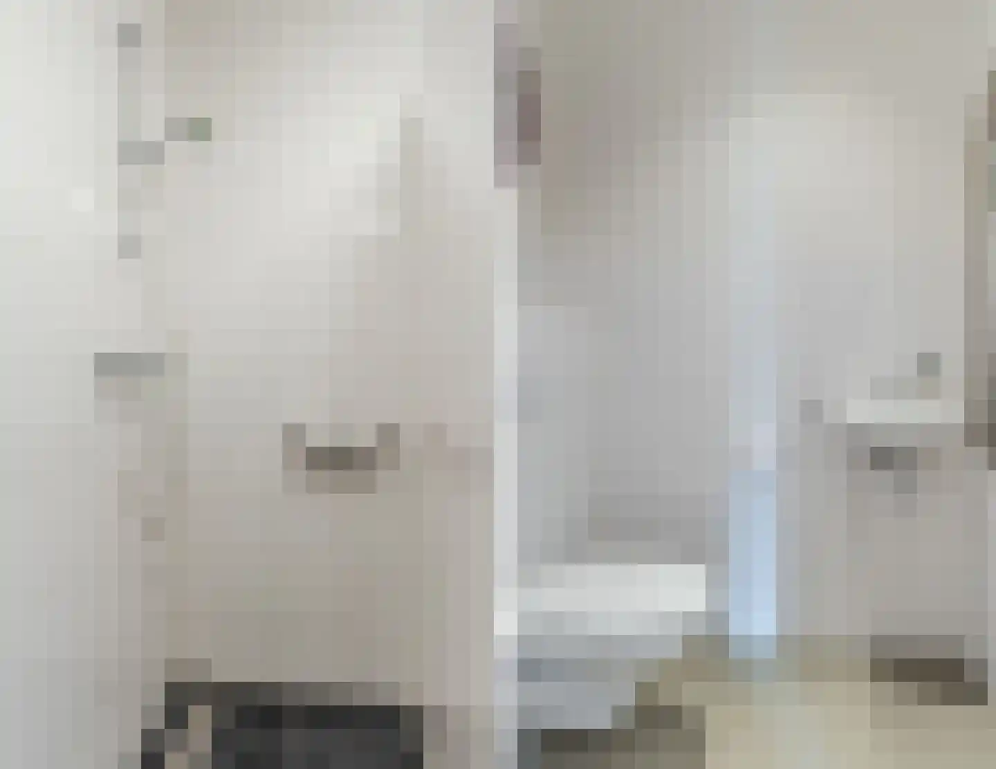Fraterstuin 1 Goirle thumbnail 13