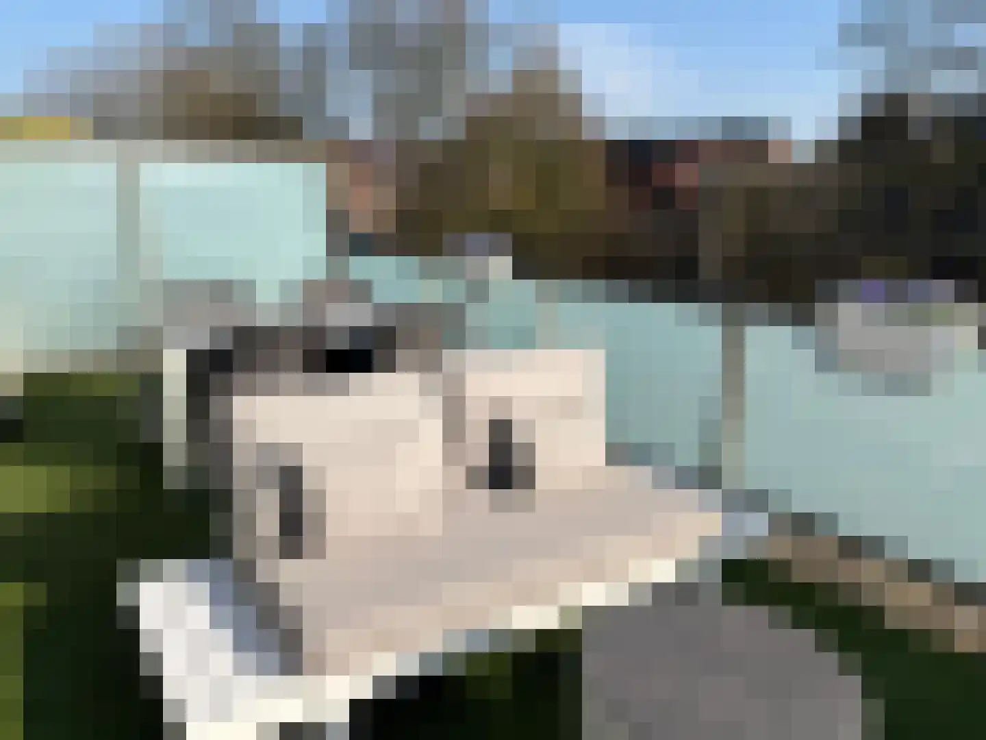 Fraterstuin 1 Goirle thumbnail 39