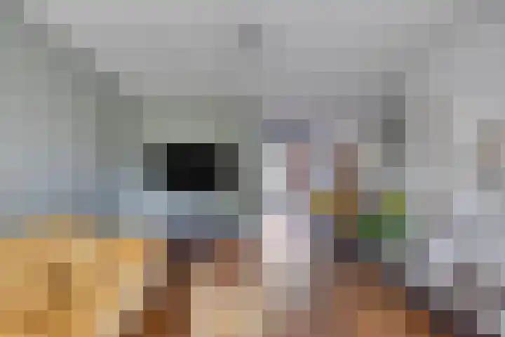 Fré Cohenlaan 21 Enschede thumbnail 10