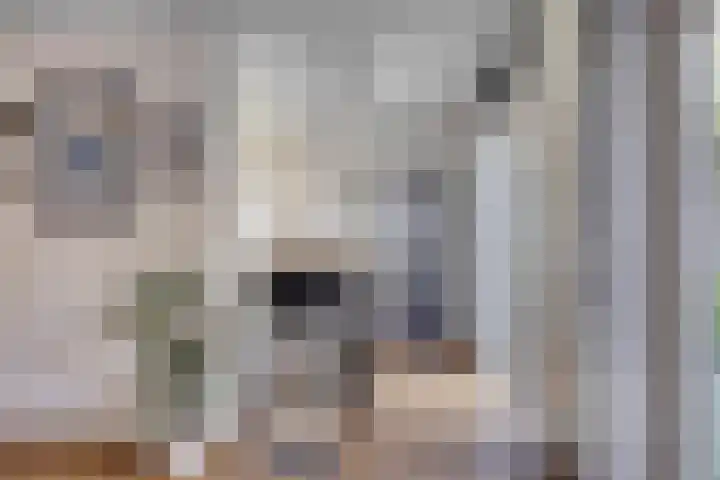 Fré Cohenlaan 21 Enschede thumbnail 13