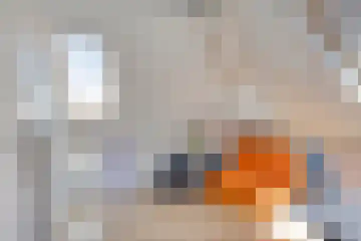 Fré Cohenlaan 21 Enschede thumbnail 27