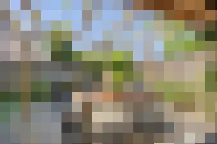 Fré Cohenlaan 21 Enschede thumbnail 37
