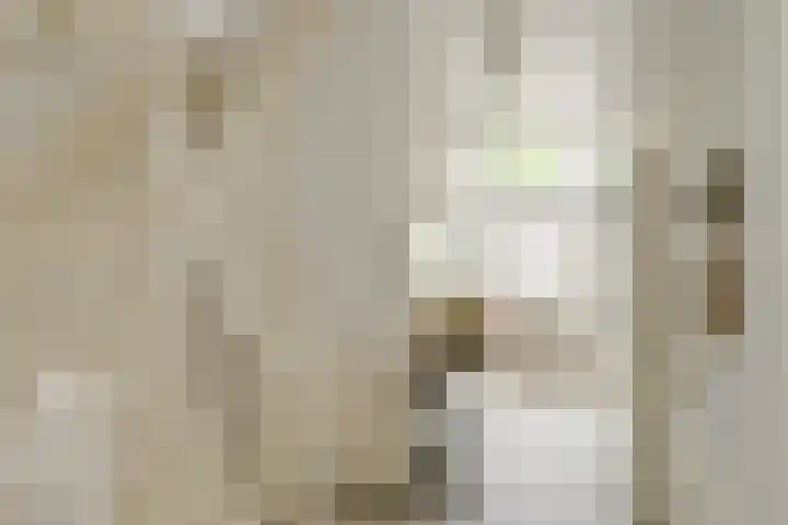 Frederikstraat 6 Velp thumbnail 11