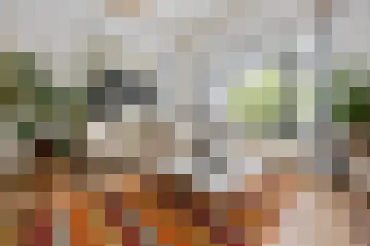 Frederikstraat 6 Velp thumbnail 16