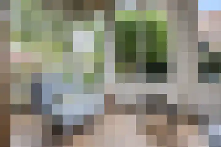 Frederikstraat 6 Velp thumbnail 19