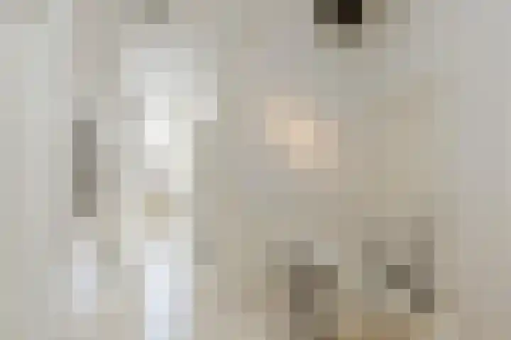 Frederikstraat 6 Velp thumbnail 33
