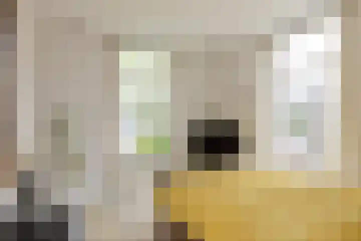 Frederikstraat 6 Velp thumbnail 35