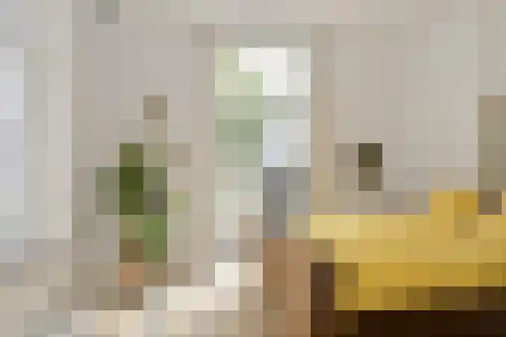 Frederikstraat 6 Velp thumbnail 36
