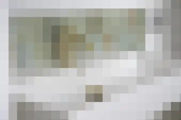 Frederikstraat 6 Velp thumbnail 41