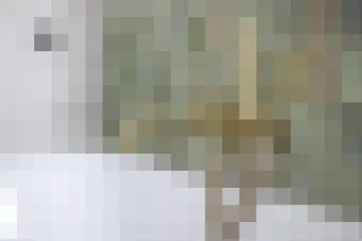 Frederikstraat 6 Velp thumbnail 44