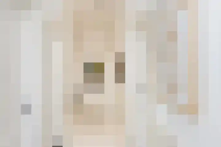 Frederikstraat 6 Velp thumbnail 46
