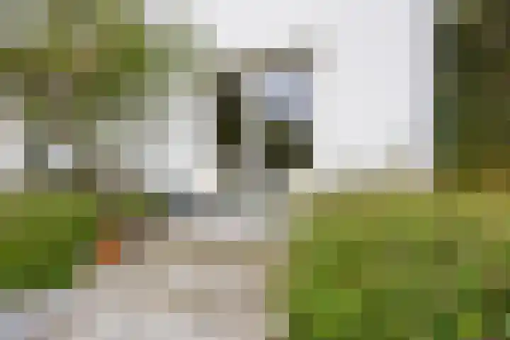 Frederikstraat 6 Velp thumbnail 54