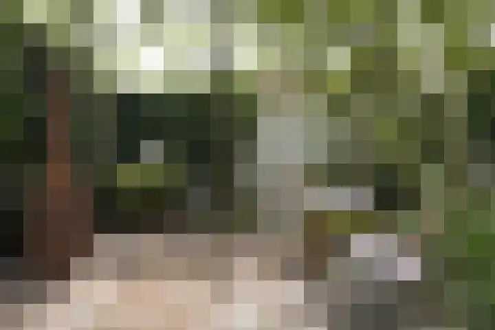 Frederikstraat 6 Velp thumbnail 55
