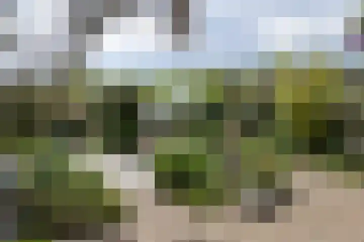 Frederikstraat 6 Velp thumbnail 60